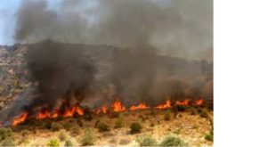 Δήμος Λευκάδας: Μέτρα πρόληψης πυρκαγιών