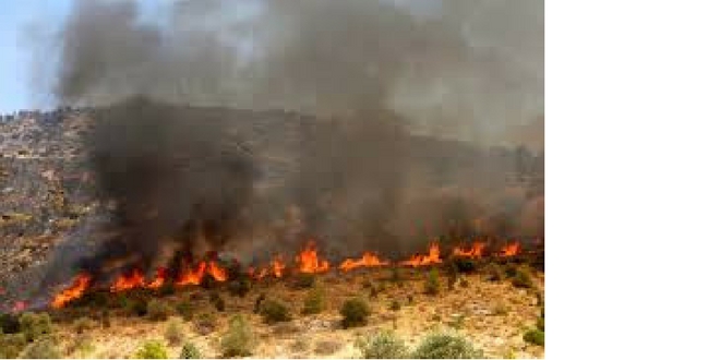 Δήμος Λευκάδας: Μέτρα πρόληψης πυρκαγιών