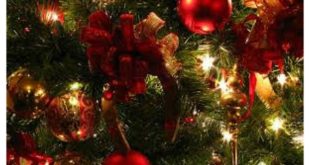 Χριστουγεννιάτικη γιορτή του Δήμου Λευκάδας