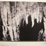 Η ομαδική Έκθεση Φωτογραφίας με θέμα «ΚΑΣΤΟΡΙΑ – ΑΡΧΟΝΤΙΑ»