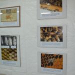 Η Έκθεση Μελισσοκομίας στο Δράγανο