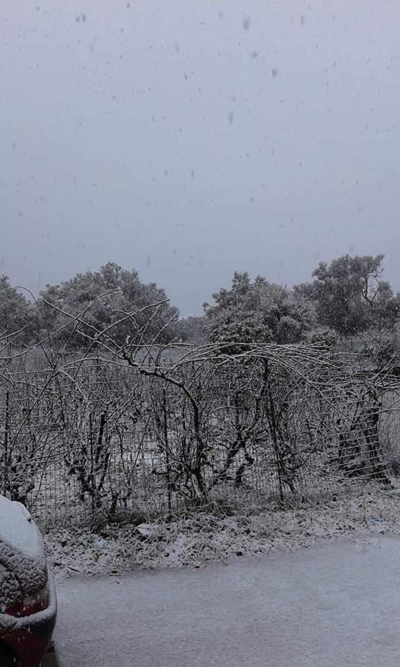 Χωμένη στο χιόνι για τα καλά η Λευκάδα – Φωτογραφίες