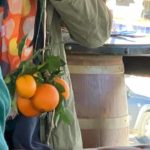 Αγιασμός υδάτων και πορτοκαλιών στην Λευκάδα