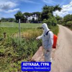 Αντιπεριφερειάρχης: Ξεκίνησε η καταπολέμηση των κουνουπιών