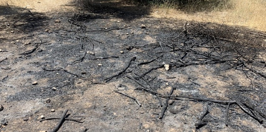 Φωτιά σε λιοστάσι στον κάμπο του Νυδριού