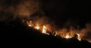 Συμβαίνει τώρα: Πυρκαγιά μεταξύ Καλαμιτσίου και Χορτάτων