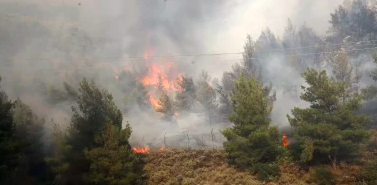 Πυρκαγιά στην περιοχή του Πόρτο Κατσίκι στη Λευκάδα